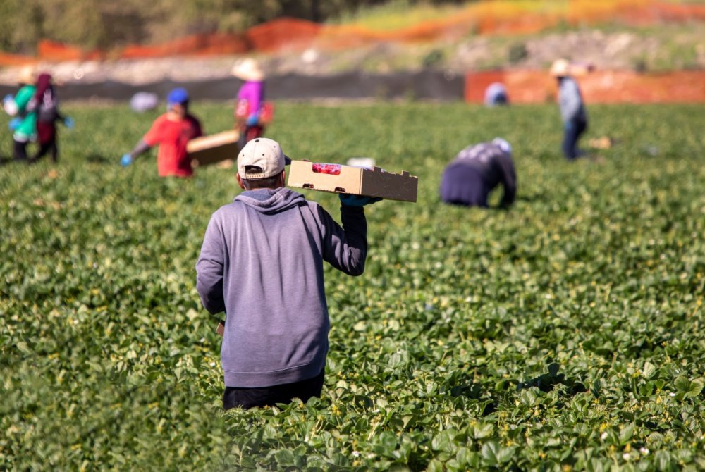 How Funders Can Help Immigrant Workers Win the Protections They Deserve