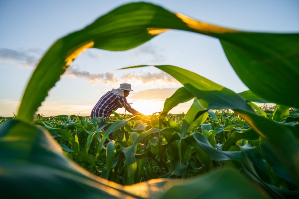 Funding for a Better Farm Bill Has Been Sparse and Inconsistent. Is That Changing?