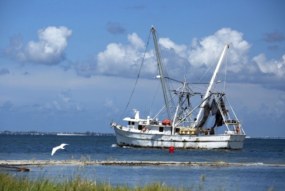 This $50 Million Funding Challenge Seeks Solutions for a Resilient and Sustainable Gulf Coast