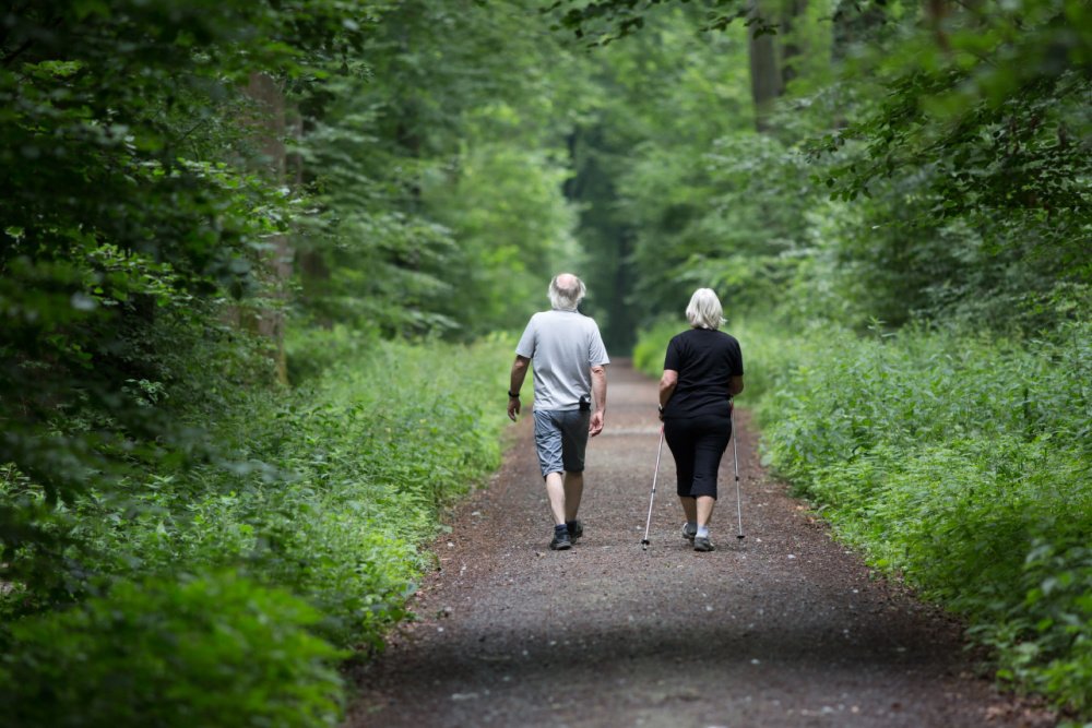 The Biggest XPRIZE Yet Seeks Therapies that Roll Back the Depredations of Aging